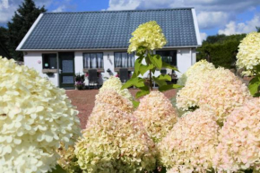 Sfeervol Appartement Het Knooppunt
